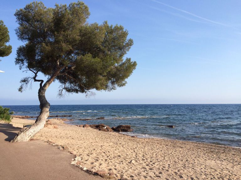 Apnoia_apneeaufeminin_Sortie_en_mer_Boulouris_plage