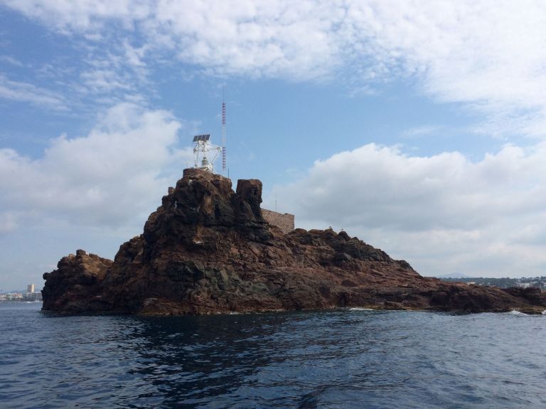Apnoia_apneeaufeminin_Sortie_en_mer_Boulouris_Lion_de_mer