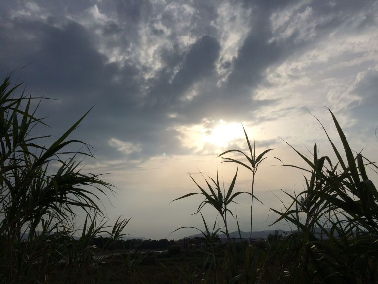 Apnoia_apneeaufeminin_Sortie_en_mer_Residence_atlantis