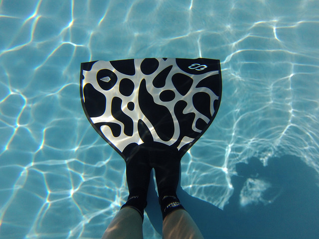 Monopalme-Breier_PISCINE