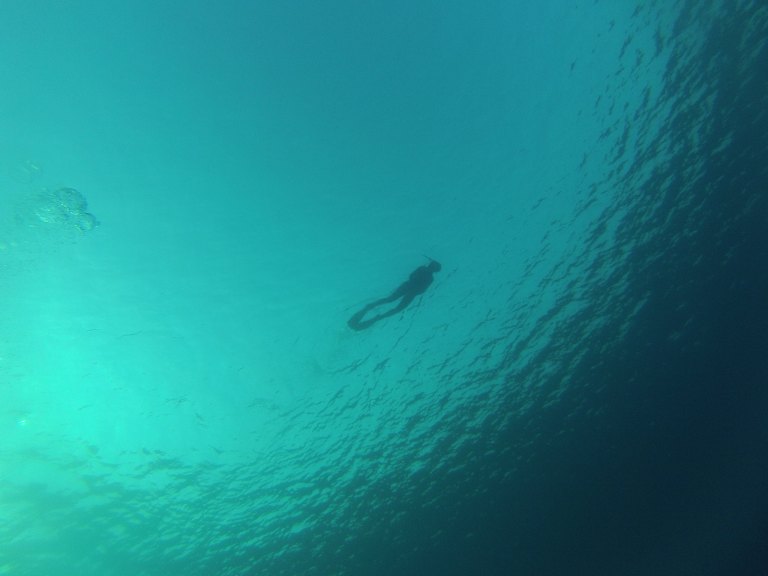 20170727_CROISIERE_SHAAB_EL_ERG_PLONGEE_FANA